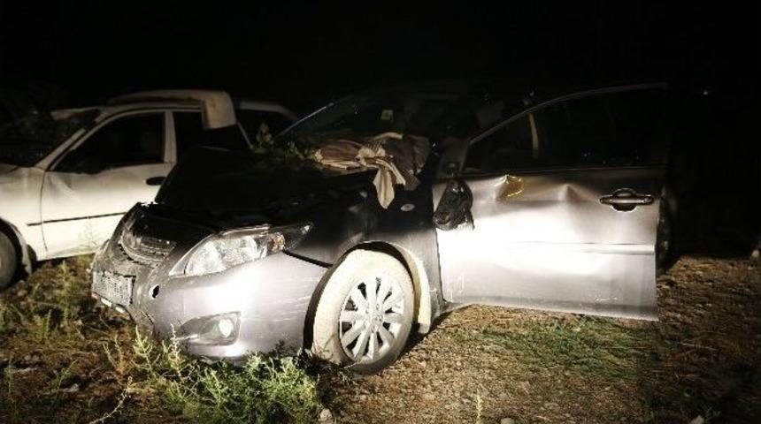 Otomobil, Piknik Yapan Aileye Çarptı: 2 Ölü