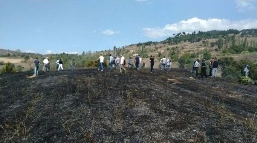 Bursa’da Orman Yangını