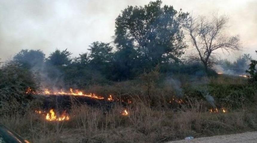 Bursa&rsquo;da Korkutan Yangın