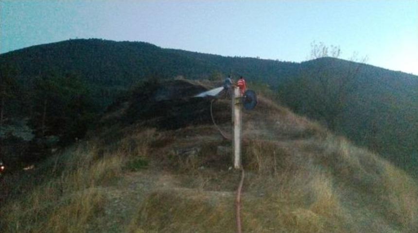 Otluk Yangını Kısa S&uuml;rede S&ouml;nd&uuml;r&uuml;ld&uuml;