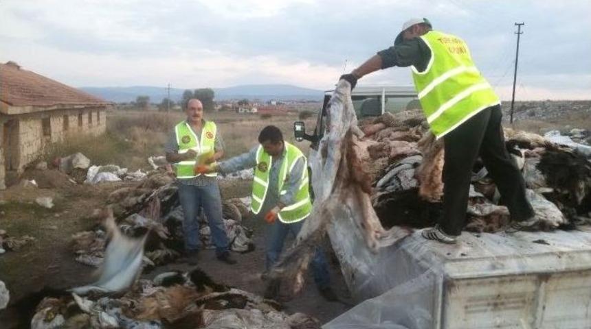 Hisarcık Thk 4 Bin Tl&rsquo;lik Deri Topladı