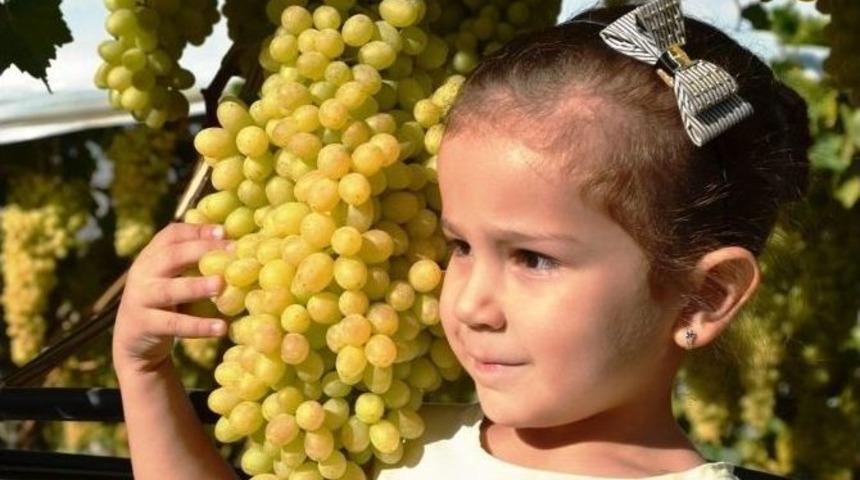 &Uuml;z&uuml;m &Uuml;reticisi Hava Kargo Ulaşımı İstiyor