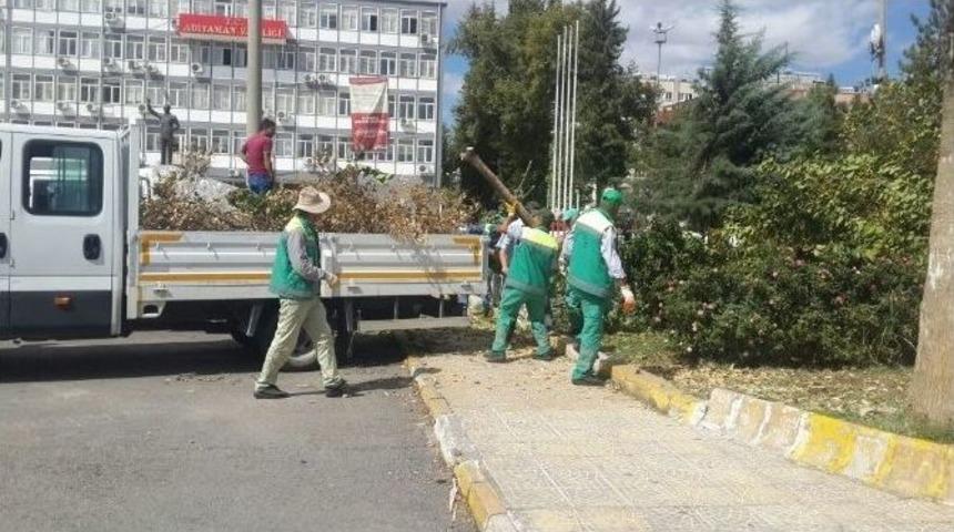 R&uuml;zgarın Devirdiği Dut Ağacı Kesilerek Kaldırıldı
