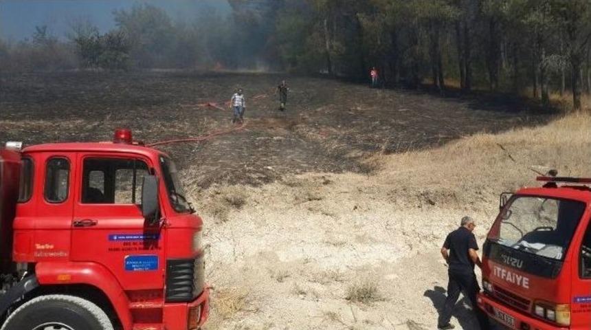 &Ccedil;akmakla Oynayan &Ccedil;ocuklar Az Kalsın Ormanı Yakıyordu