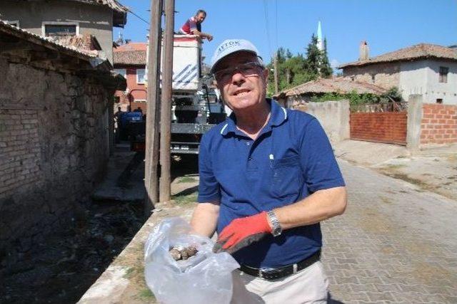 Leylek Yuvalarında Temizlik