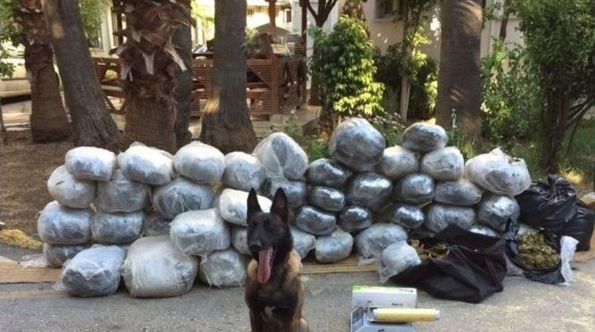 Kurban Bayramı&rsquo;nda Uyuşturucu Tacirlerine Operasyon