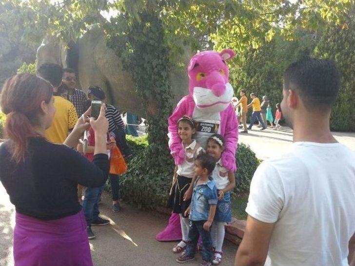 Gaziantep Hayvanat Bahçesin’de Bayram Yoğunluğu G1