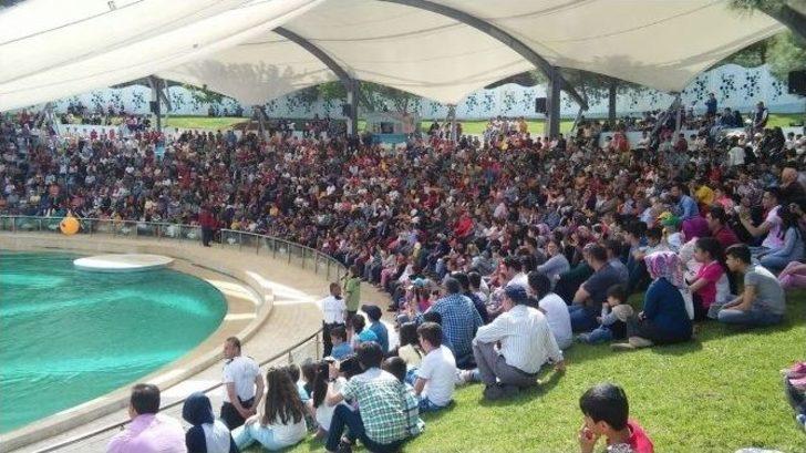 Gaziantep Hayvanat Bahçesin’de Bayram Yoğunluğu G3