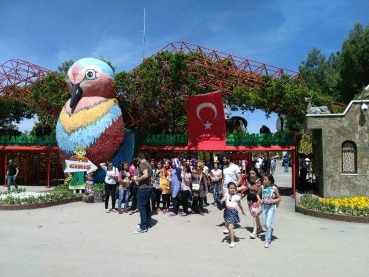 Gaziantep Hayvanat Bahçesin’de Bayram Yoğunluğu G4