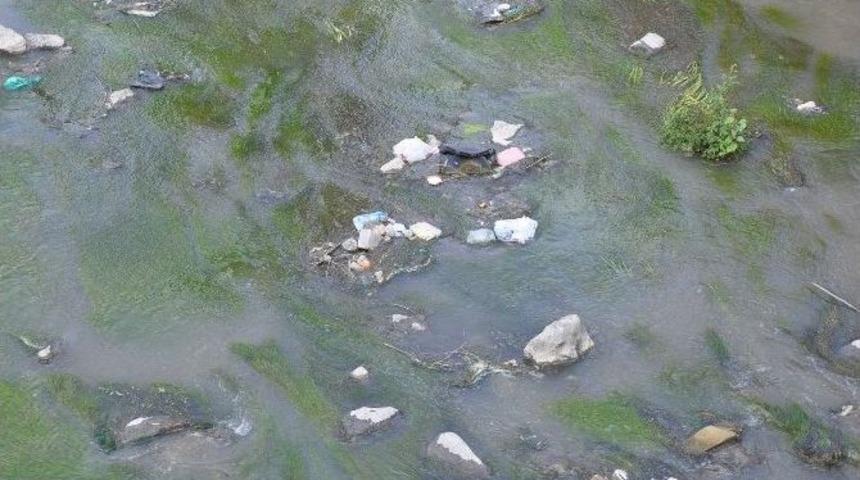 Kars &Ccedil;ayı Islah Edilecek