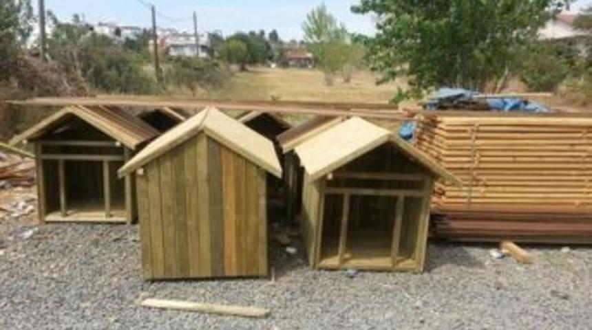 Sahipsiz Sokak Hayvanları İ&ccedil;in Barınma Kul&uuml;beleri