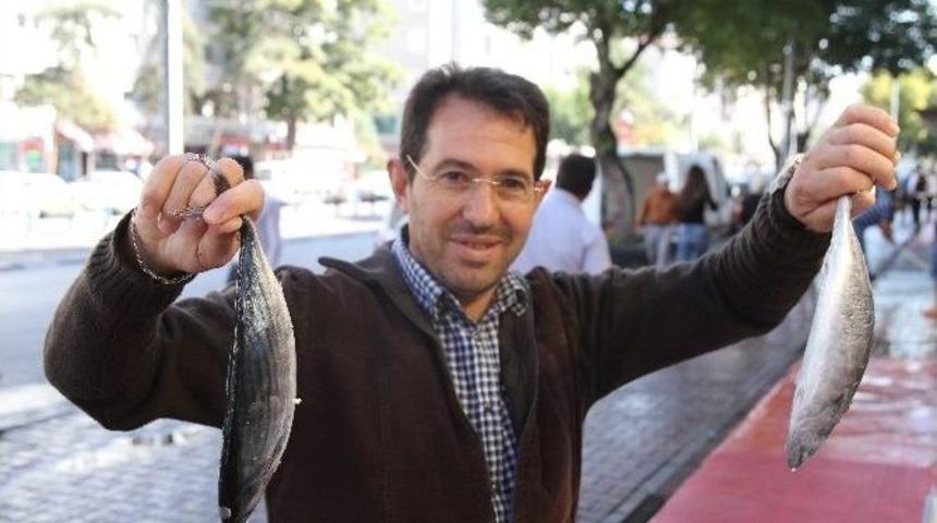 Kurban Bayramı Balık&ccedil;ıları Vurdu