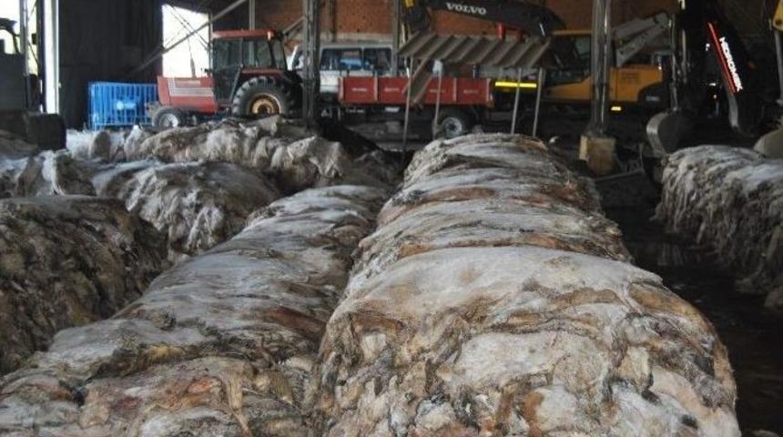 Thk, Hayrabolu&rsquo;da 4 Bin 375 Kurban Derisi Topladı