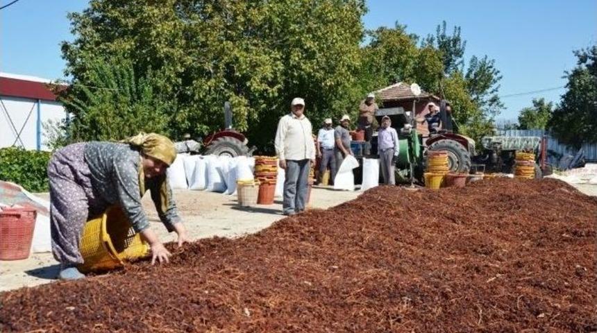 &Uuml;z&uuml;mc&uuml;n&uuml;n En B&uuml;y&uuml;k Sıkıntısı Pazar