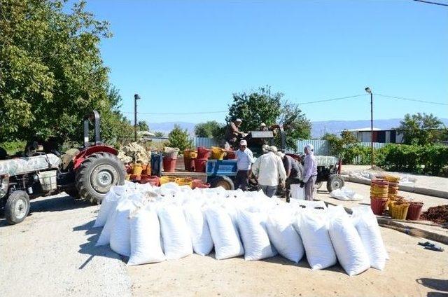 Üzümcünün En Büyük Sıkıntısı Pazar