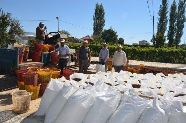 Üzümcünün En Büyük Sıkıntısı Pazar