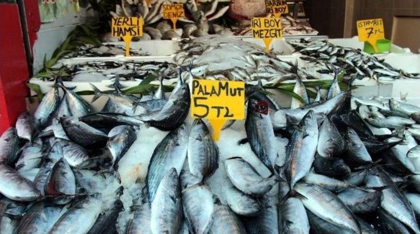 Kurban, Balık Satışlarını Etkiledi