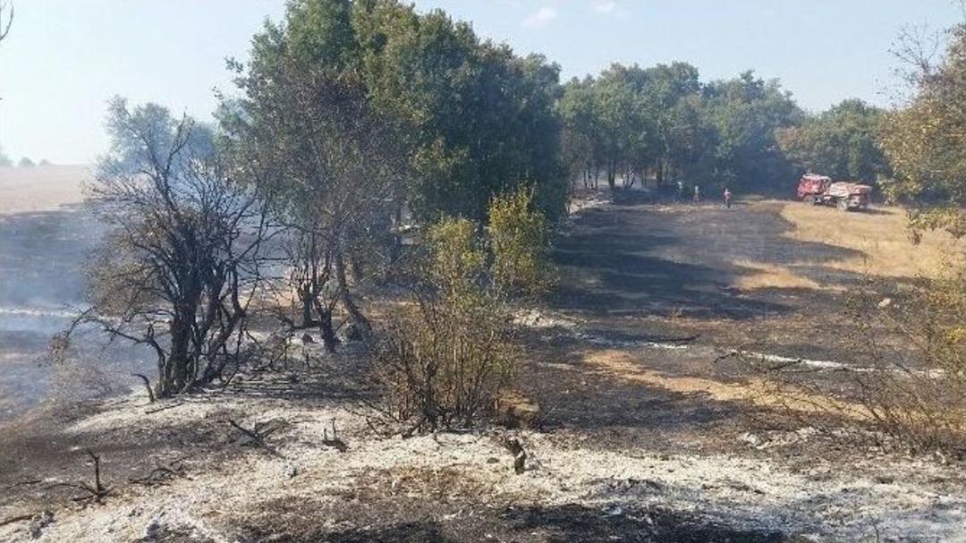 &Ccedil;anakkale&rsquo;de Orman Yangını