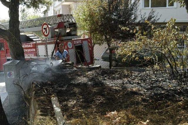 Bahçede Sigara İzmaritinden Çıkan Yangın Korkuttu