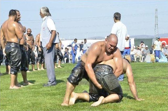 Bandırma’da 17 Eylül Yağlı Pehlivan Güreşleri Yapıldı