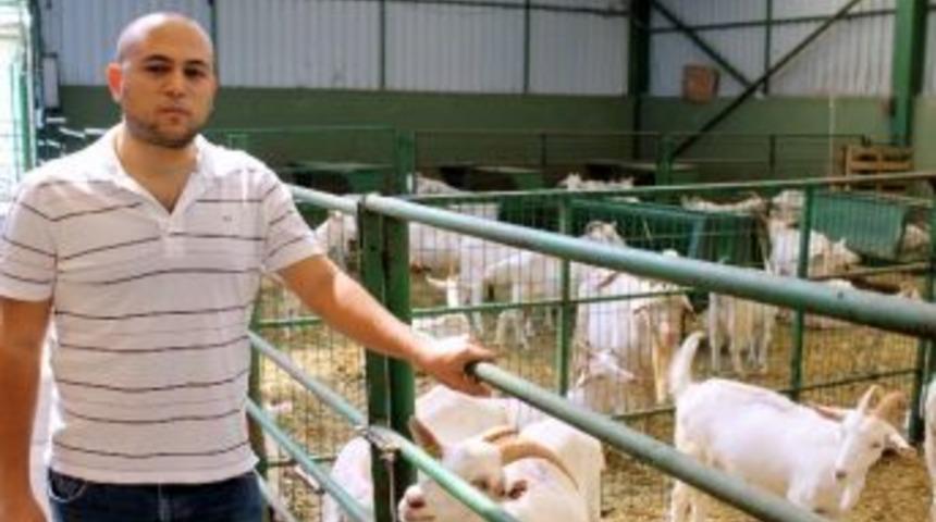 Bu Ke&ccedil;iler &Uuml;reticinin Y&uuml;z&uuml;n&uuml; G&uuml;ld&uuml;r&uuml;yor