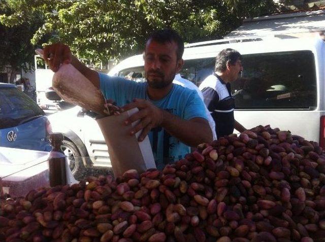 Bayram Sonrası Fıstık Zammı