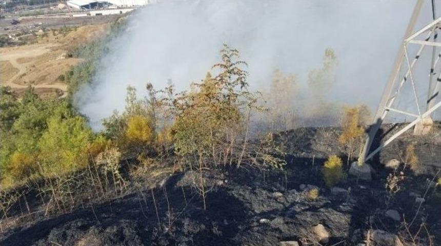 Karabük’te Orman Yangını