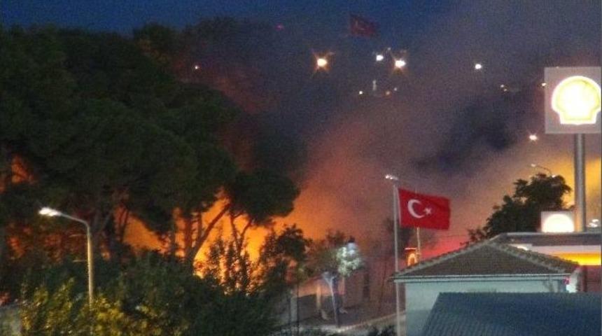 S&uuml;merbank Arazisinde Yangın