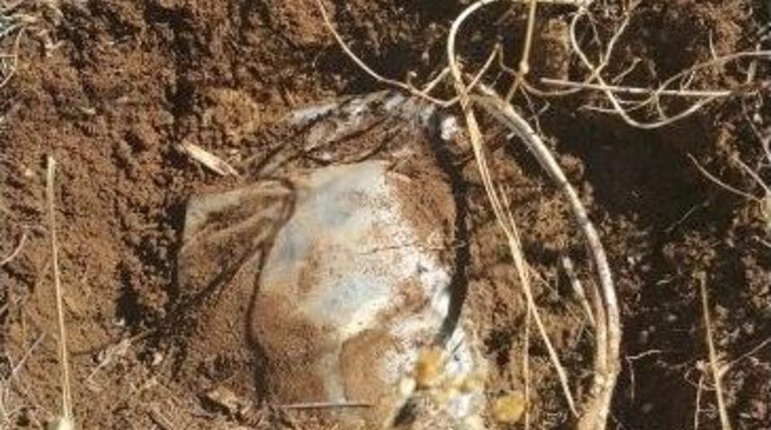 Jandarma Faciayı &Ouml;nledi