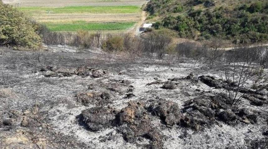 Mudanya Sahilinde Korkutan Yangın