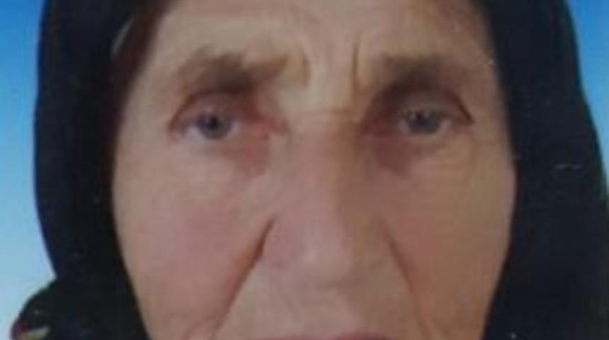 Minib&uuml;s&uuml;n &Ccedil;arptığı Yaşlı Kadın Hayatını Kaybetti