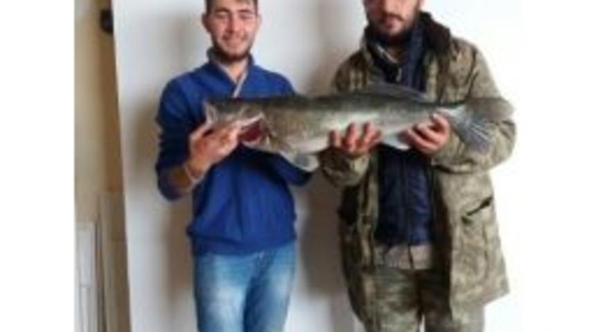 Yamula Barajının En Büyük Levreğini Yakaladılar