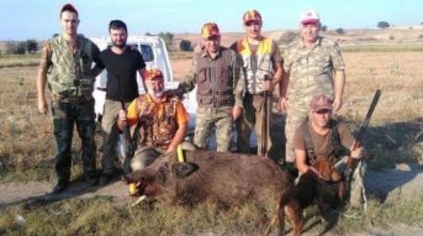 K&ouml;yl&uuml;ler Mısırlarına Dadanan Domuzları Avladı