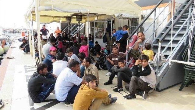 Çanakkale’de 61 Kaçak Göçmen Yakalandı