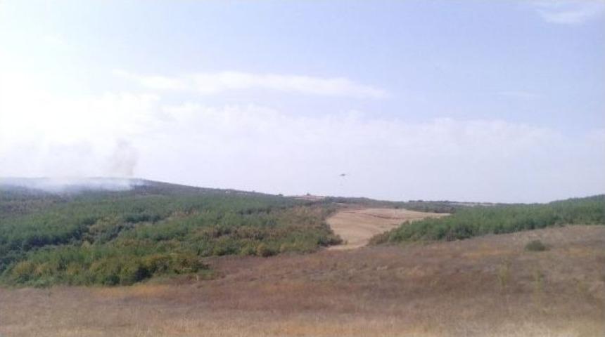 Tekirdağ&rsquo;da 10 D&ouml;n&uuml;ml&uuml;k Orman Arazisi K&uuml;l Oldu