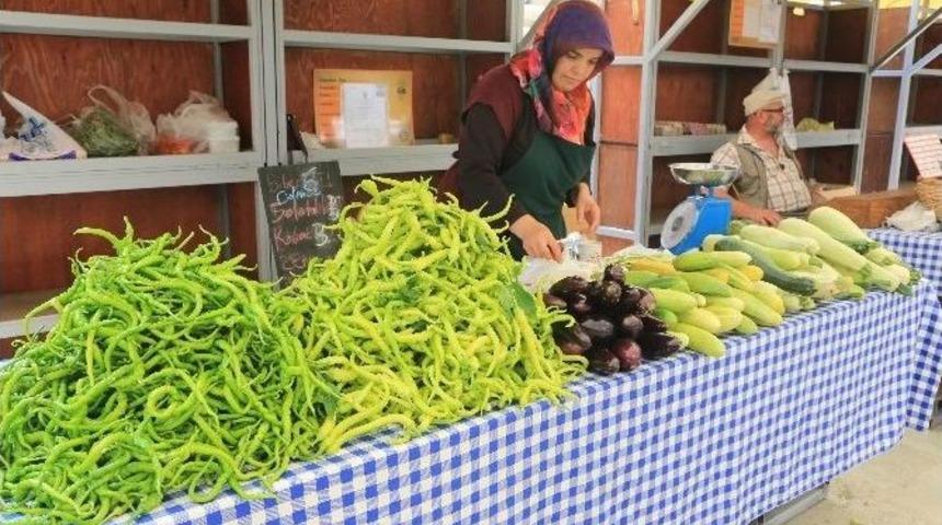 Şile, Terra Madre Salone Del Gusto’da
