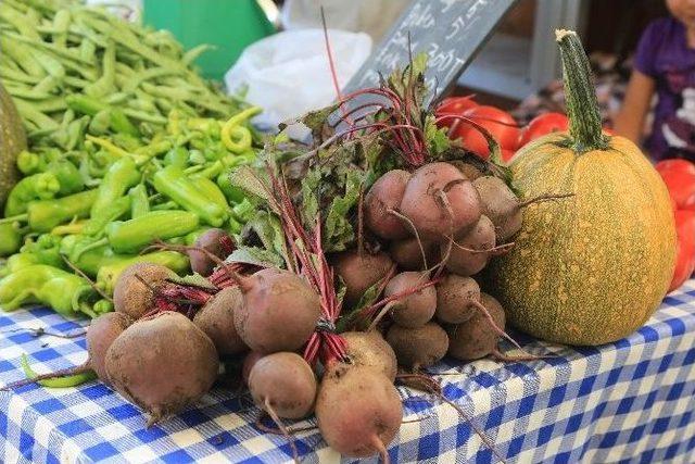 Şile, Terra Madre Salone Del Gusto’da