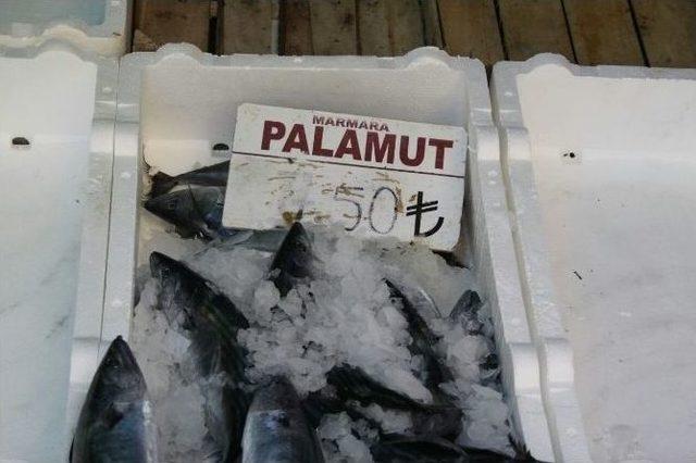 Siirt&rsquo;te Balık Sezonu A&ccedil;ıldı 1