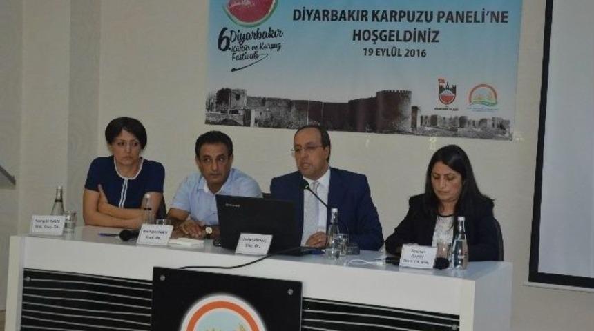 Diyarbakır&rsquo;da &lsquo;karpuz&rsquo; Paneli