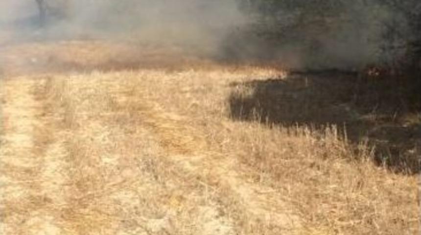 Dursunbey&rsquo;de Arazi Yangını Ormanlık Alanı Tehdit Ediyor