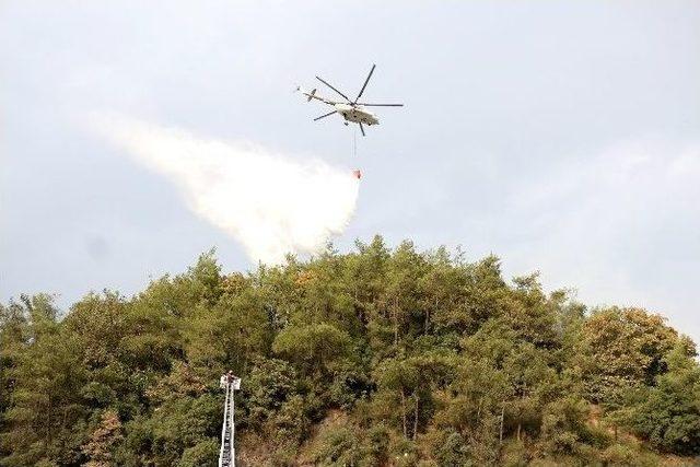 Kemerburgaz’da Ormanlık Alanda Yangın