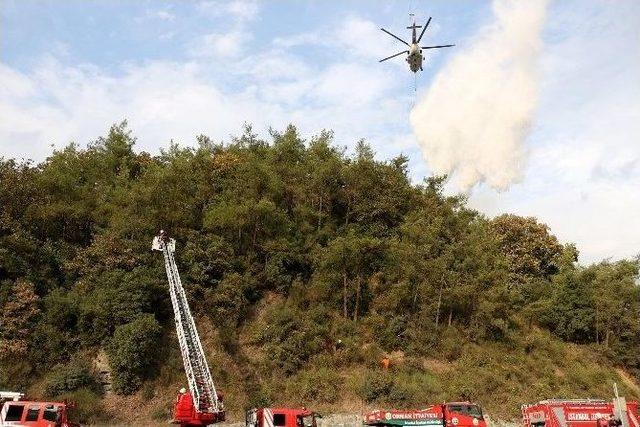 Kemerburgaz’da Ormanlık Alanda Yangın