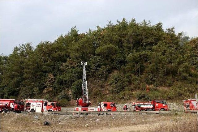 Kemerburgaz’da Ormanlık Alanda Yangın