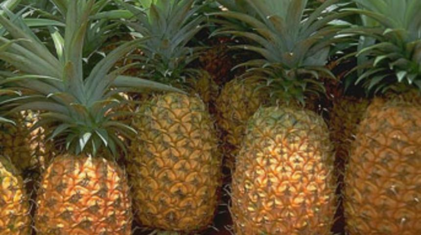 Mide şişkinliğini gideren 13 besin