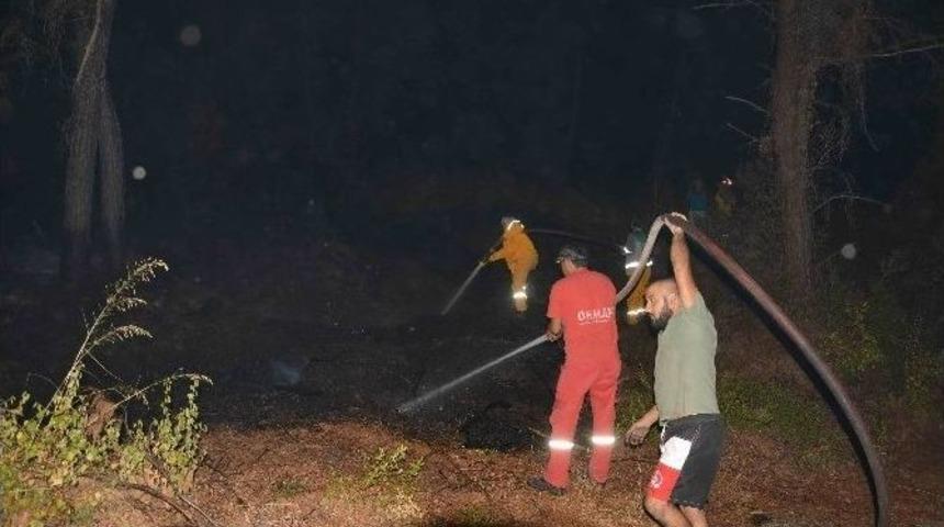 Dalaman&rsquo;da Orman Yangını
