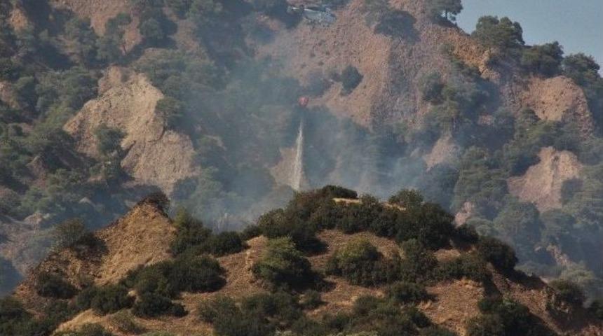 Sigara İzmariti Yangına Yol A&ccedil;tı