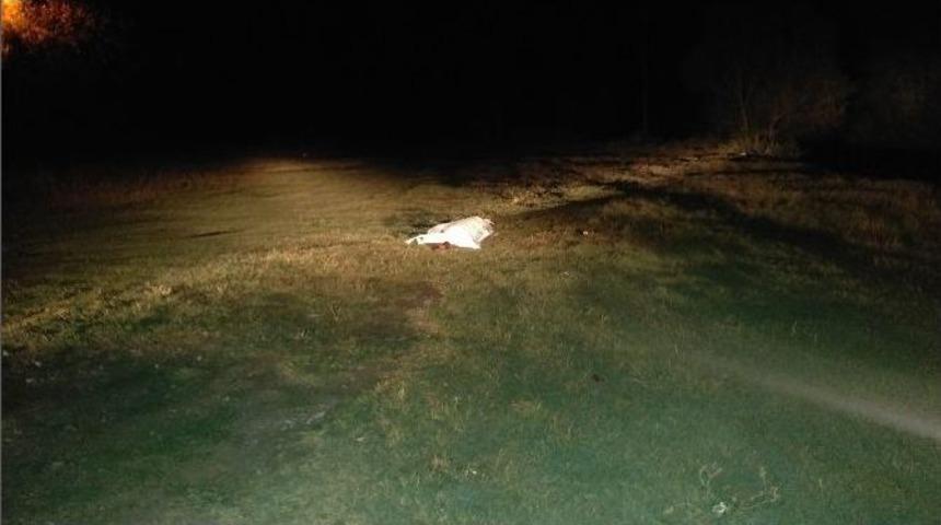 Ereğli&rsquo;de Başından Vurulmuş Erkek Cesedi Bulundu