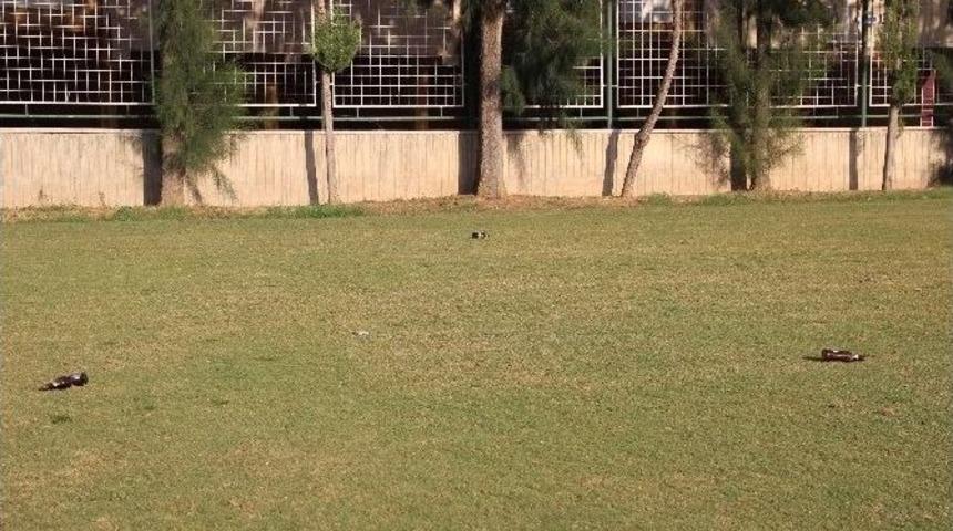 Aydınspor 1923&rsquo;l&uuml; Futbolcular Ucuz Atlattı