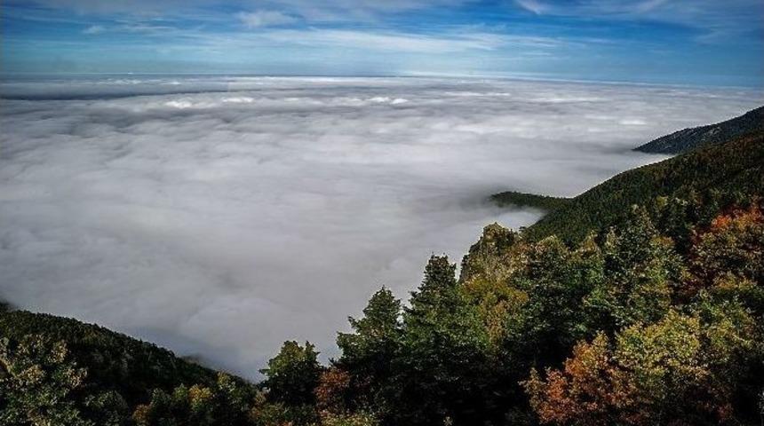 T&uuml;rk Fotoğraf&ccedil;ılar D&uuml;nya Kupası&rsquo;nda Mansiyon Kazandı
