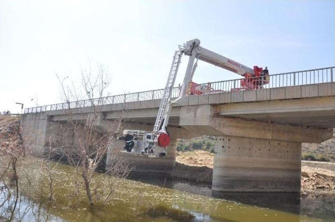 Baykuşu Kurtarmak İ&ccedil;in Yol Trafiğe Kapatıldı